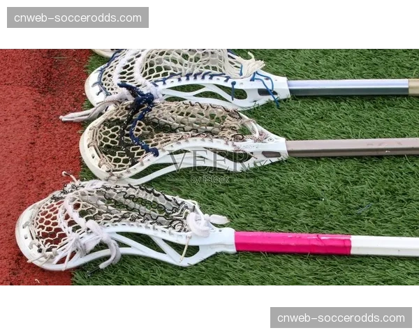 曲棍球棒袋、球棒、护具市场2026年预计达4.0766亿美元 曲棍球棒袋、球棒、护具市场2026年预计达4.0766亿美元